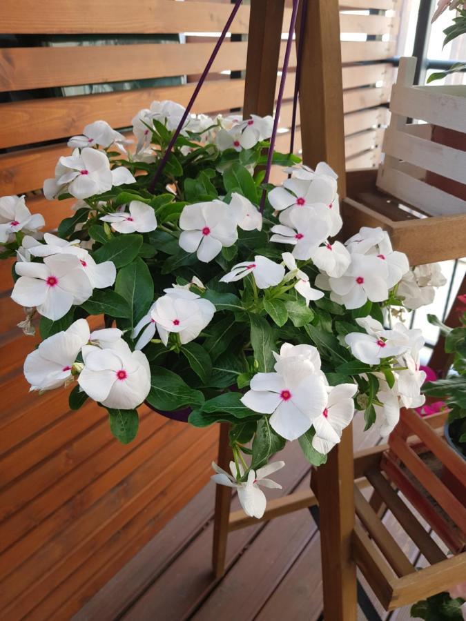 La Terrazza Di Carolina Bed & Breakfast Agrigento Dış mekan fotoğraf